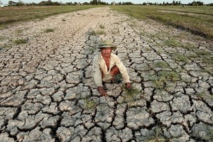 檳椥省巴椥縣安富忠鄉農民田地乾旱缺水。（圖源：玉陽）