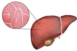 （示意圖源：互聯網）