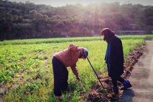 （示意圖源：互聯網）