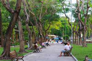 （示意圖源：互聯網）