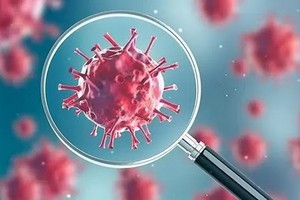 （示意圖源：互聯網）