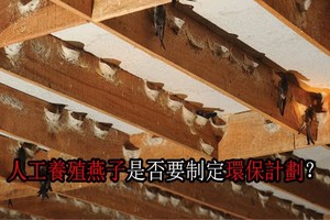 （示意圖源：互聯網）