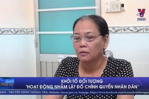 被起訴的嫌犯阮氏金鳳。（圖源：VNews 視頻截圖）