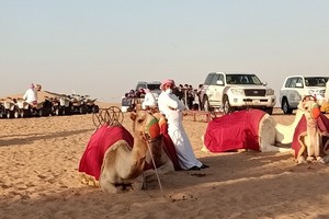 迪拜沙漠之旅，Royal Edventure大門前古今各代的交通工具：沙漠之舟駱駝與牠們後面的越野車、爬山車隊。