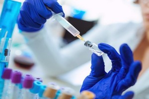 澳大利亞聯邦科學與工業研究組織(CSIRO)的科學家已經用新冠病毒感染了一群雪貂，以確定兩種潛在的疫苗在人類身上測試是否安全。（示意圖源：互聯網）