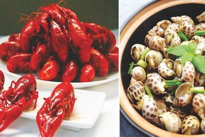 ５類食物暗藏寄生蟲