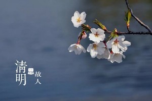 （示意圖源：互聯網）