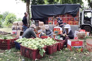 同奈省許多農民通過社交網向消費者銷售農產品。（圖源：臉書）