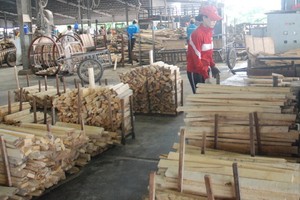 （示意圖源：芳娥）