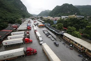 數十輛運載農產品的集裝箱大貨車在諒山省新清口岸附近滯留等待通關。（圖源：互聯網）
