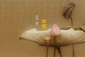 （示意圖源：互聯網）