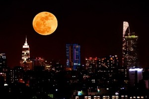 （示意圖源：互聯網）