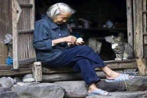 （示意圖源：互聯網）