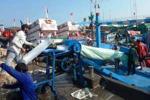 雖受新冠肺炎疫情的影響，但平順省漁民仍堅持出海。