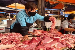 圖為河內市河東傳統市場上的一豬肉零售攤。（圖源：英明）