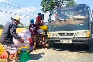 九龍江平原的農民在田間出售稻米。