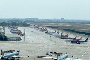 疫情期間的新山一機場停機坪泊滿飛機。