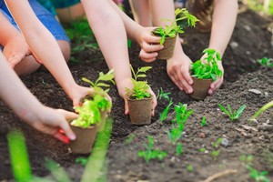 （示意圖源：互聯網）