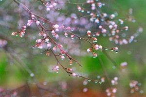 （示意圖源：互聯網）