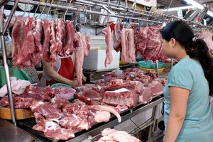 （示意圖源：和黎）