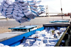 圖為大米出口裝船。（示意圖源：互聯網）