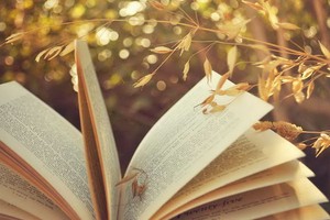 （示意圖源：互聯網）