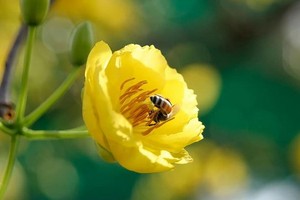 （示意圖源：互聯網）