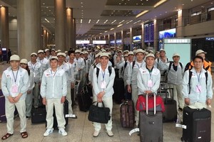 2019年赴外國工作的越南勞工總數為14萬7387人。（圖源：互聯網）