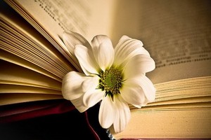 （示意圖源：互聯網）