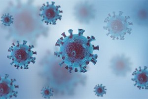 （示意圖源：互聯網）