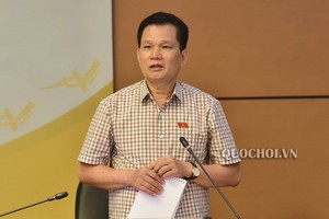 國會的社會問題委員會常務副主任裴仕利 在會上發言。（圖源：Quochoi.vn）