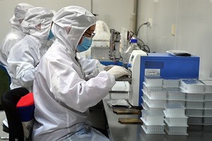 加拿大政府5月6日宣佈對部分進口醫療產品減免關稅。（示意圖源：互聯網）