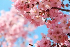 （示意圖源：互聯網）