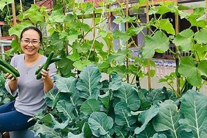 （示意圖源：互聯網）