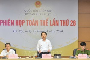 國會法律委員會主任黃青松（中）主持會議。（圖源：越通社）