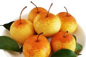 梨子。（圖源：互聯網）