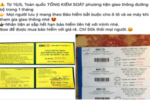 慎購網上不明車輛保險。（圖源：網站截圖）