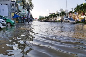 今年南部區域還有4次大潮汛。圖為2019年10月1日芹苴市戊申街被淹一片汪洋。（圖源：前鋒）