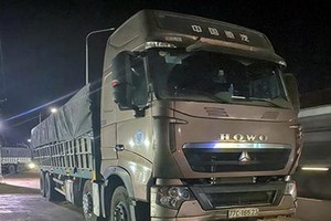 被扣留的一輛超載運沙卡車。（圖源：同奈報）