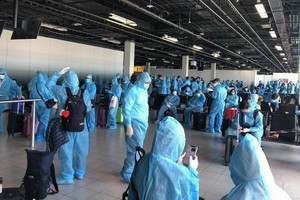 從荷蘭撤回的越南公民在阿姆斯特丹機場等候登機。（圖源：越南駐荷蘭大使館）