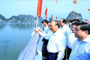 政府總理阮春福與中央各部委領導昨(24)日上午前往視察廣寧省。（圖源：越通社）