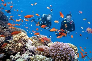 海洋旅遊仍是旅行社重點開發的旅遊方式。（圖源：田升）