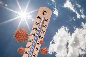 世界氣象組織(WMO)26日表示，隨著北半球今年預計將迎來破紀錄的高溫季節，炎熱天氣可能加重新冠肺炎患者的病情、增加傳染率、增加醫療系統負擔。（示意圖源：田升）