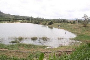 圖為溺水事故發生地點。（圖源：農業報）