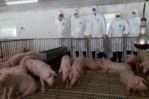 （示意圖源：互聯網）