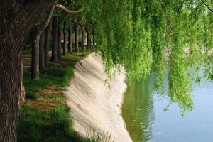 （示意圖源：互聯網）