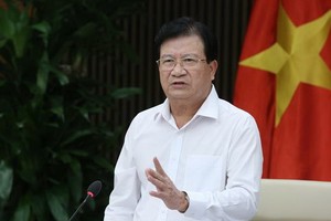 政府副總理鄭廷勇發表指導會議。（圖源：VGP）