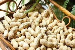 （示意圖源：互聯網）