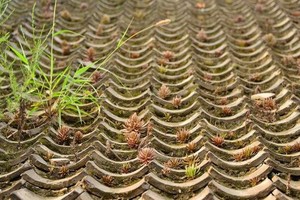 （示意圖源：互聯網）