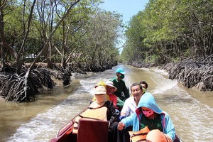 市民在紅樹林旅遊區遊玩。（圖源：互聯網）